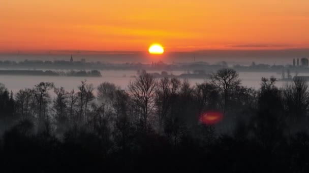 Ανατολή Ηλίου Πάνω Από Ομίχλη Krimpenerwaard Ολλανδία Δάσος Πεδία — Αρχείο Βίντεο