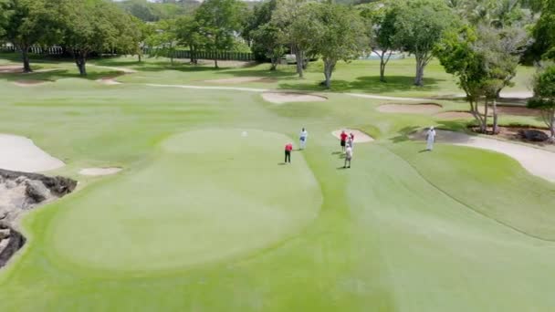 Golfer Playing Golf Tournament Green Putting Birdie — Stock Video