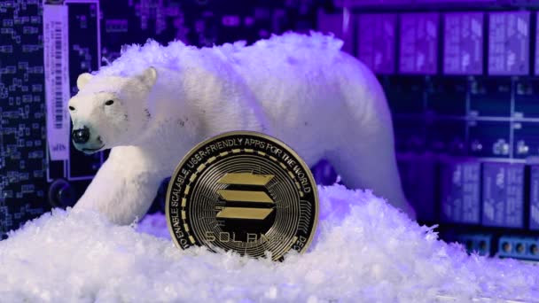 Altcoin Solana Coin Resist Crypto Winter Bear Market Cryptocurrency Concept — Stock video