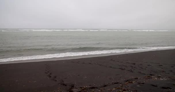 Playa Arena Negra Islandia Con Video Gimbal Avanzando — Vídeo de stock