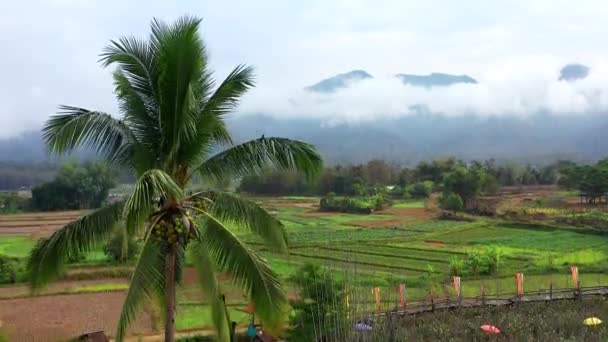 Vistas Aéreas Pua Los Campos Arroz Provincia Nan Tailandia — Vídeo de stock