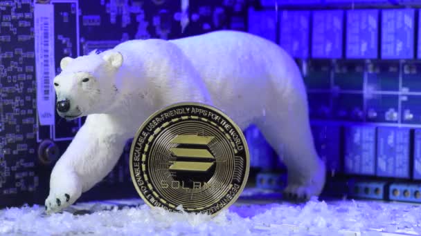 Solana Crypto Coin Data Harvesting Price Freezes Survive Bearish Time — Video Stock