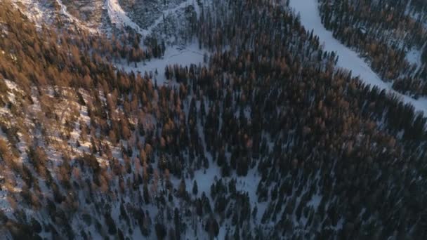 Birds Eye Aerial View Snowy Alpine Forest Tilt Tre Cime — Stockvideo