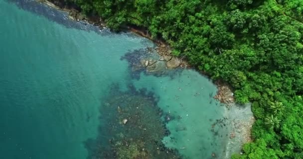 Aereo Birdseye Colpo Mare Calmo Turchese Sulla Costa Ubatuba Brasile — Video Stock