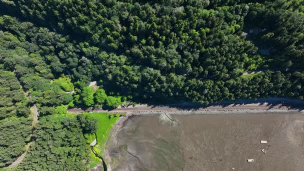 Top Shot Train Track Forest One Side Beach Other — Vídeo de stock