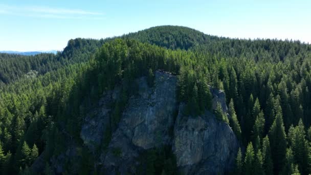険しいハイキングの終わりに山の景色が広がる木の空中 カスケード山脈のオイスタードーム — ストック動画