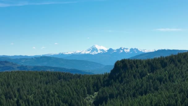 Flygfoto Mount Baker Med Tät Skog Som Omger Den — Stockvideo