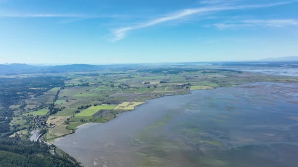 ワシントン州で最も肥沃な土地の一部が海岸沿いに養殖されている間に サミッシュ湾でドローンが撃たれました — ストック動画