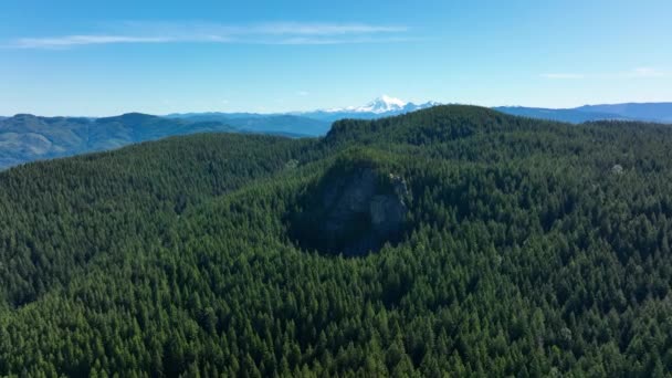 Aerial Tree Filled Landscape Mount Baker Looming Distance — Vídeo de stock