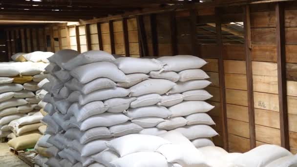 Coffee Bags Coffee Industry Coffee Industry White Bags Costa Rica — Stock Video