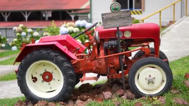 Red Tractor Antique Tractor Field Tourism Field — Vídeo de Stock