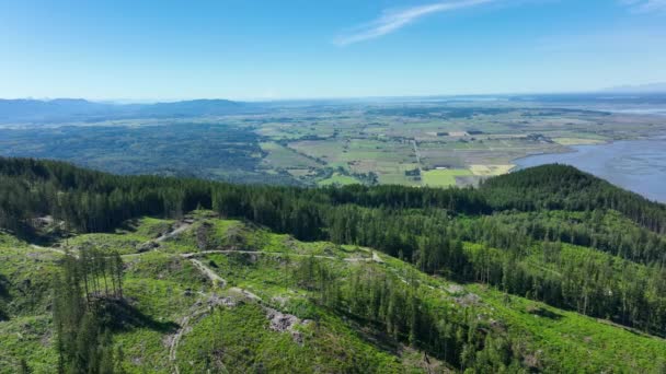 Aerial Mountain Been Logged Lumber — Vídeo de stock