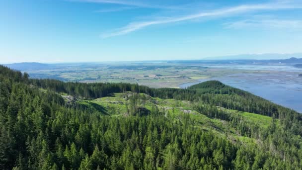 Aerial Shot Mountain Land Been Harvested Lumber — ストック動画