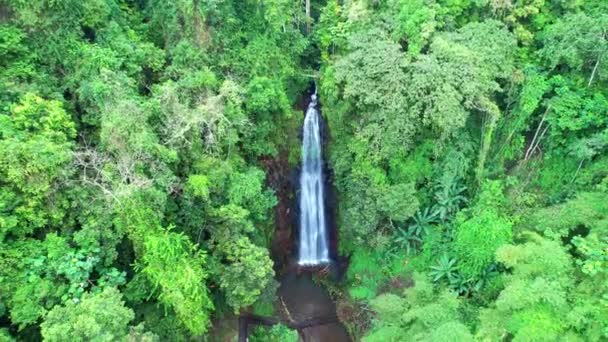 Flying Backwards Disappearing Fog Sao Nicolau Waterfall Sao Tome Africa — ストック動画