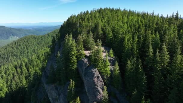 Orbiting Aerial Shot Oyster Dome Hike Viewpoint — Stockvideo