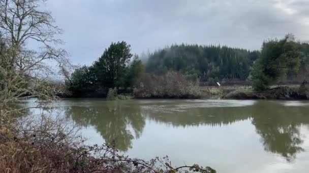 Rzeka Coquille Południowym Oregonie Drzewa Odbijają Się Wodzie Północno Zachodnie — Wideo stockowe