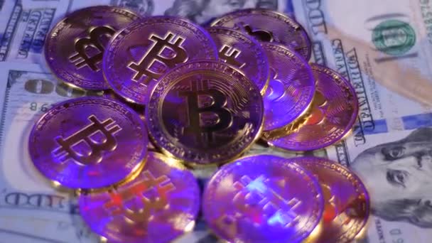 Group Crypto Bitcoins Usd Dollar Bills Warning Police Light Currency — Stockvideo