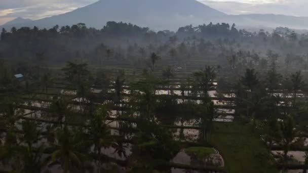Karangasem Regency Aerial Mountains Landscape Rural Village Bali Island Indonesia — Stockvideo