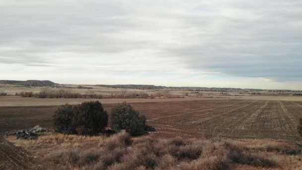 Crops Midwest America Fall Day Cloudy Sky Serene Cinematic Aerial — Video Stock