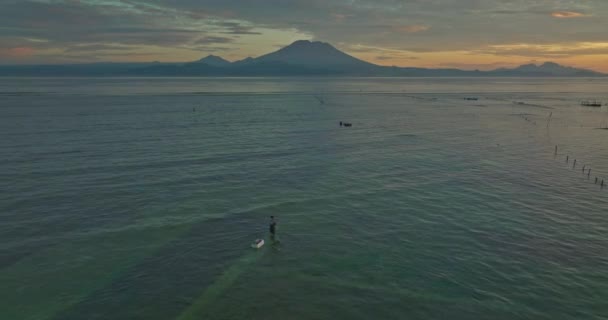 Local Farmers Harvesting Seaweed Shallows Pasir Putih Beach Sunrise Mount — Vídeo de Stock