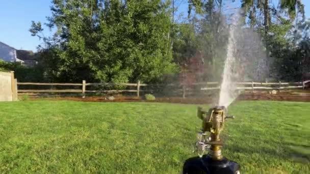 Automatic Sprinkler Head Watering Private Lawn Summer — Video Stock