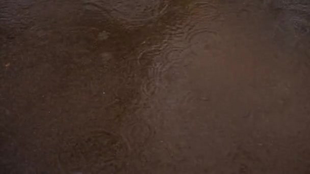 Rain Drop Sand Gravel — Stockvideo