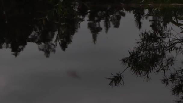 Dark Waters River Dramatic Water Twilight Soft Focus — Αρχείο Βίντεο