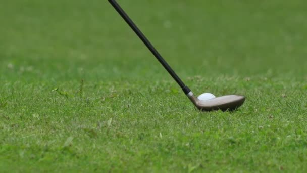 Golfbaan Met Bal Een Golfbal Raken Langzame Beweging — Stockvideo