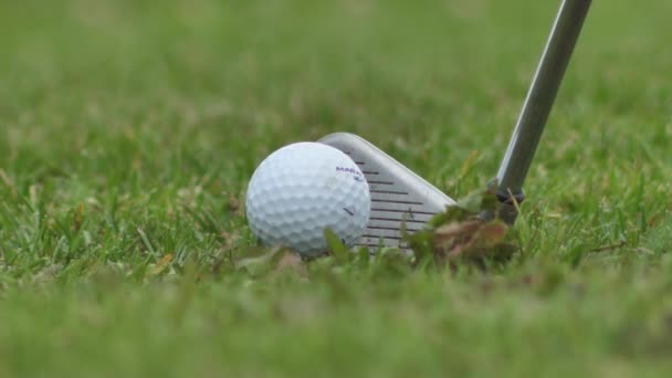 Golf Course Ball Hitting Golf Ball Slow Motion — стоковое видео