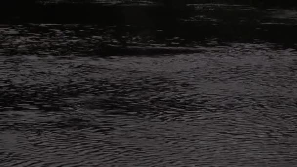 Dark Waters River Dramatic Water Twilight Soft Focus — Stock Video