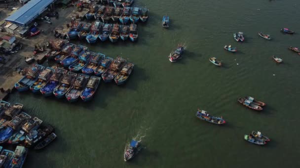 Huge Vietnamese Fishing Industry Local Harbor Aerial View Boats Sailing — Video