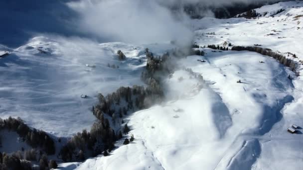 Drohnenflug Über Den Schneebedeckten Kiefern Höhengebiet Der Italienischen Alpen — Stockvideo