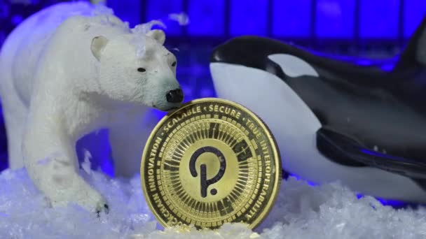 Koin Cryptocurrency Polkadot Tetap Dibekukan Bawah Manipulasi Paus Beruang Konsep — Stok Video