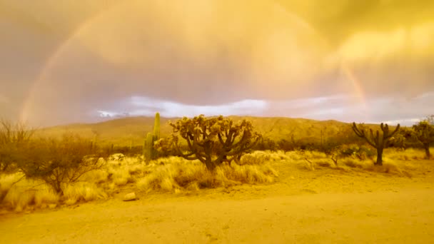 Δραματικό Όμορφο Τοπίο Της Ερήμου Αριζόνα Κάκτους Και Ουράνιο Τόξο — Αρχείο Βίντεο