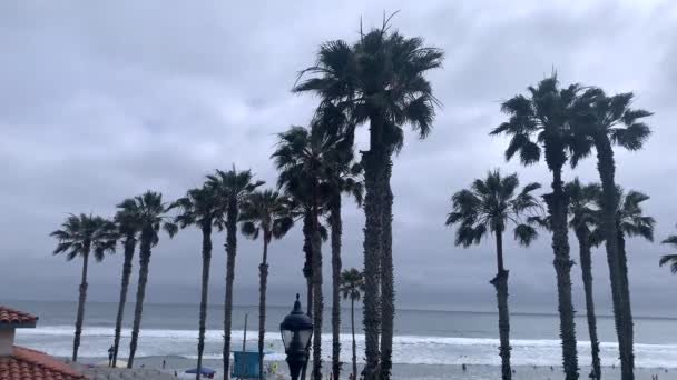 在美丽的阳光明媚的日子里 棕榈树在海滩上迎风飘扬 浪花汹涌 拍击着固定的画面美丽的地球B滚向地平线海洋 美国加利福尼亚州圣地亚哥 — 图库视频影像