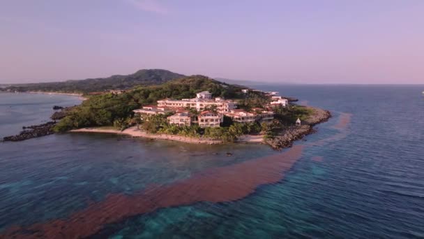 Île Roatan Vue Aérienne Depuis Mer — Video