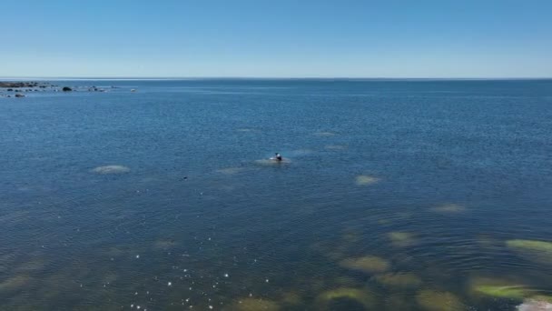 Drone Footage Grey Seal Halichoerus Grypus Lying Rock Vaindloo Island — Stockvideo