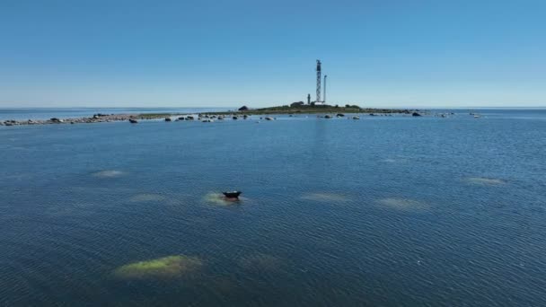 Drone Footage Grey Seal Halichoerus Grypus Lying Large Rock Vaindloo — 비디오