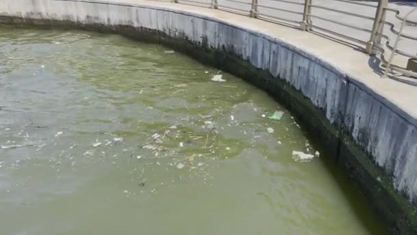 Floating River Debris Urban Area Polluted Waterways Growing Concern — Vídeo de Stock