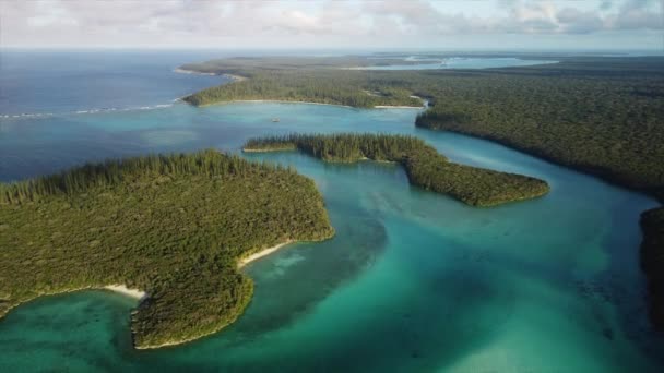 Slow Flyover Small Forested Sunlit Islands Oro Bay Isle Pines — Vídeos de Stock