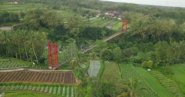 Dilihat Dari Udara Jembatan Penangguhan Daerah Tropis Dengan Perkebunan Sayur — Stok Video