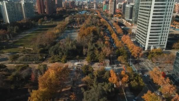 Santiago City Skyline Chile Sunny Day Aerial View Araucano Park — Stok video