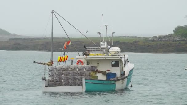 Lobster Fishing Boat Marina Seagull Flying Slow Motion 30P — Vídeo de stock