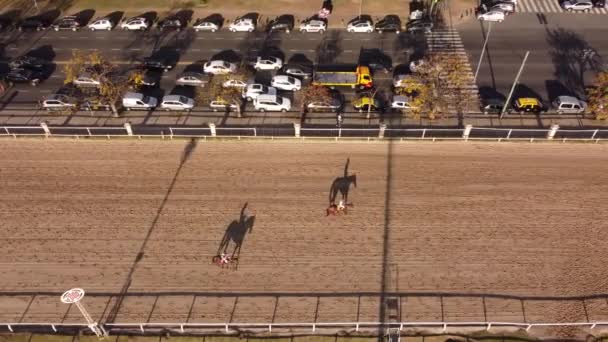 Jockeys Horses Long Shadows Track Aerial View — Video
