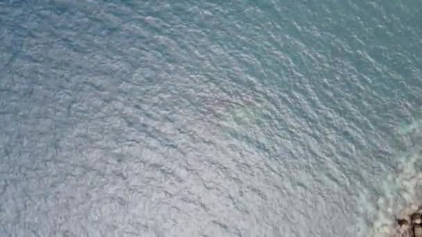 Sea Landscape Turquoise Water Concrete Tetrapod Breakwater Protection Coast Drone — Stock Video