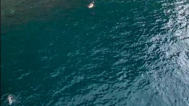 Мужчина Гребёт Плывет Каяке Женщине Плавающей Глубоких Водах — стоковое видео