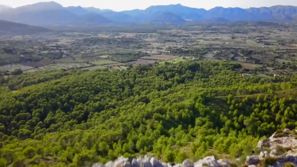 Leaping Cliff Forest Mountains Background Spain — Vídeo de stock