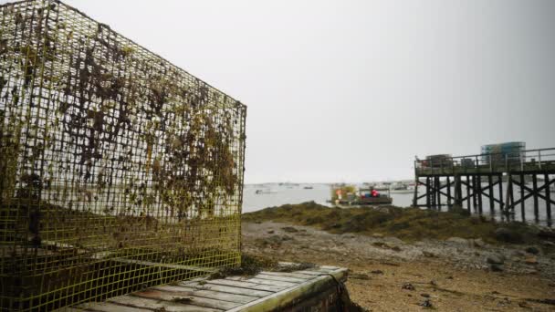 Παγίδα Αλιείας Αστακού Στην Παραλία Του Μέιν Προβλήτα Και Μαρίνα — Αρχείο Βίντεο