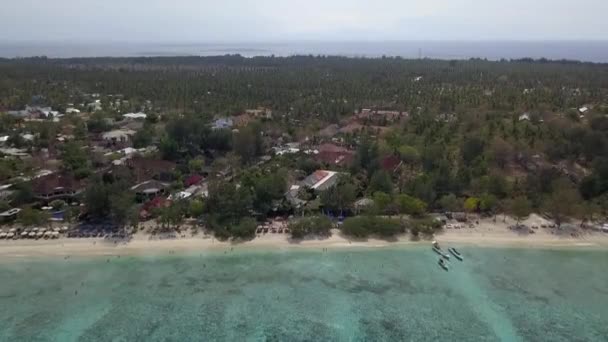 Small Island Palm Plantations Great Aerial View Flight Panorama Overview — Stockvideo