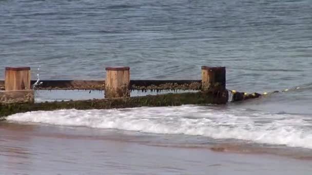 Wooden Breakwater Part Sandy Shore Dorset Seaside Town United Kingdom — 图库视频影像